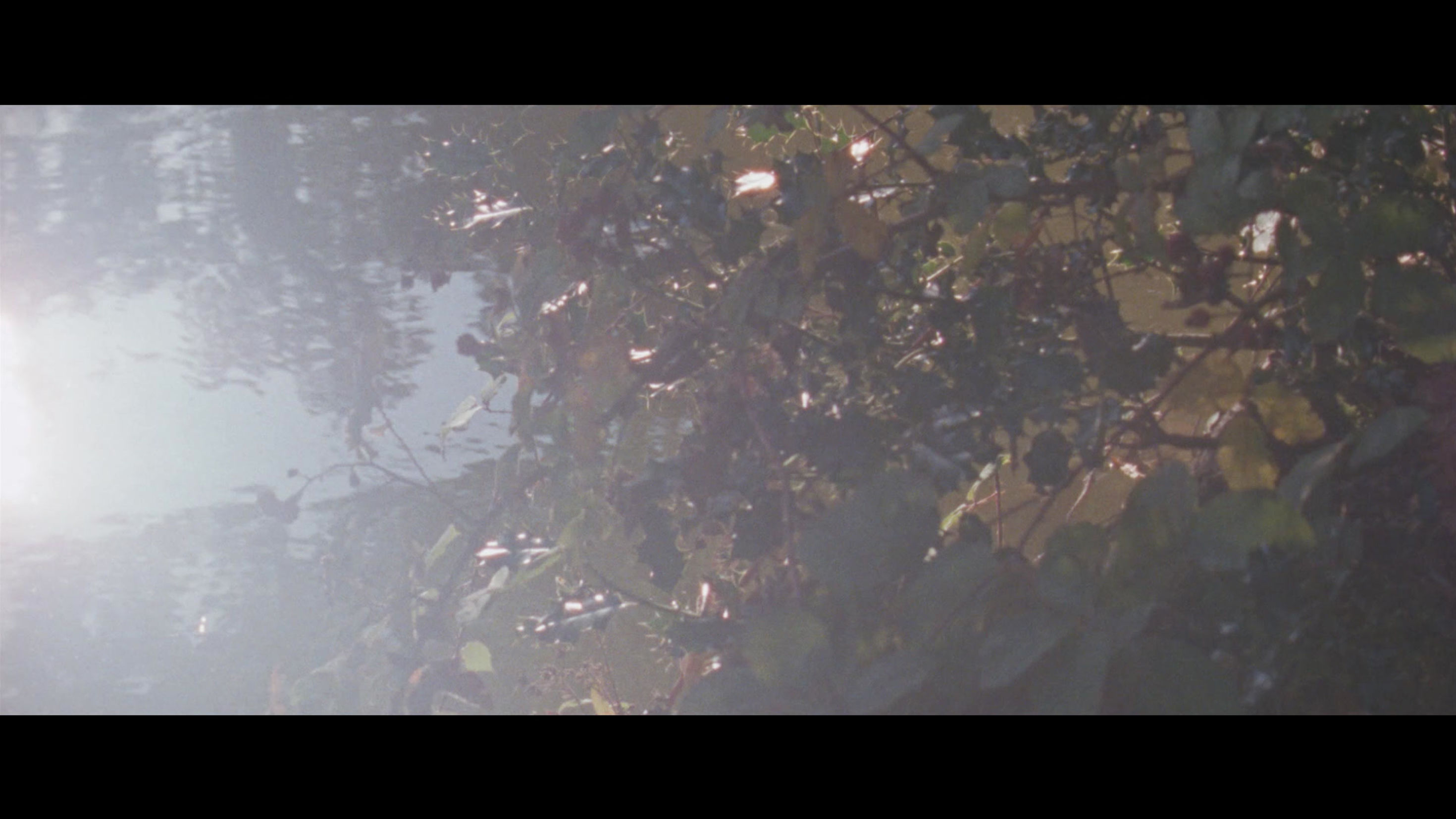 Ether (2025) - Trailer